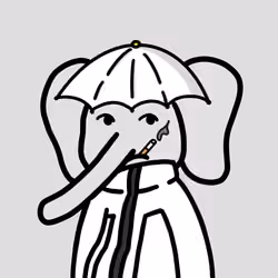 Robinhood Elephants #5699