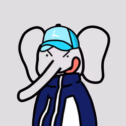 Robinhood Elephants #6288