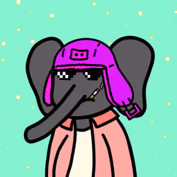 Robinhood Elephants #2382