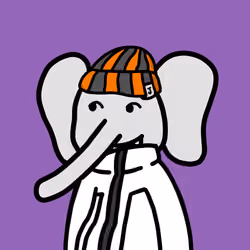 Robinhood Elephants #3819