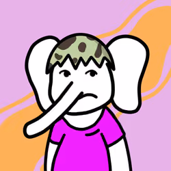 Robinhood Elephants #4614