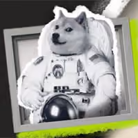 404DOGE