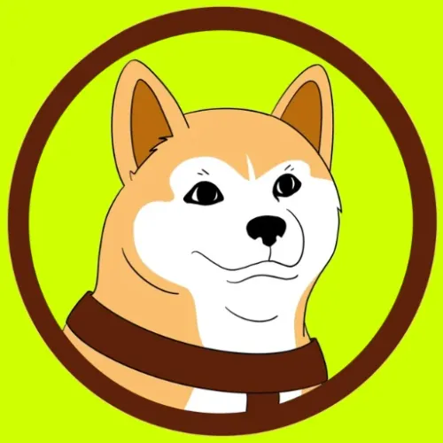 HACHI