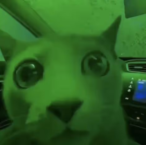 MARKETCAT