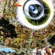 ENTITY 0737 · The Witnessed Interior