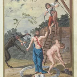 966