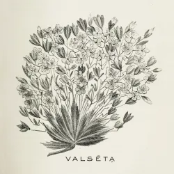 335