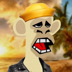 8337