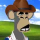 2593