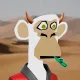 2416