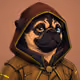 PUGS ON HOOD #1604