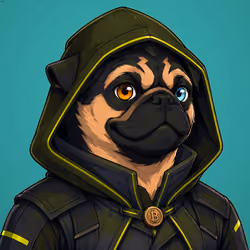 PUGS ON HOOD #2386