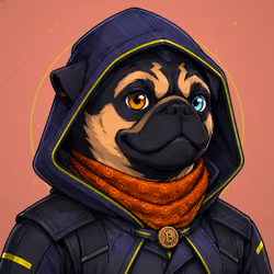 PUGS ON HOOD #2993