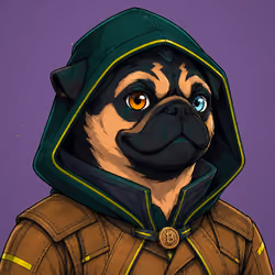 PUGS ON HOOD #2796