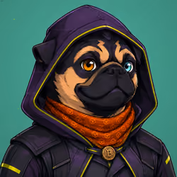 PUGS ON HOOD #2419