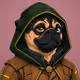 PUGS ON HOOD #1597