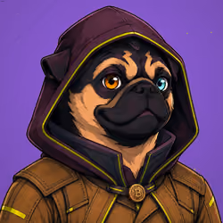 PUGS ON HOOD #2492