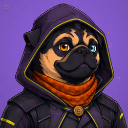 PUGS ON HOOD #1386