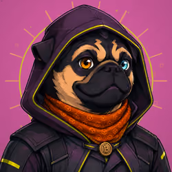 PUGS ON HOOD #1564