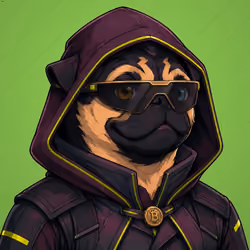 PUGS ON HOOD #3502