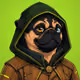 PUGS ON HOOD #1843