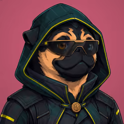 PUGS ON HOOD #1567