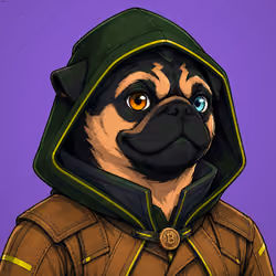 PUGS ON HOOD #1383