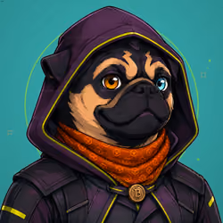 PUGS ON HOOD #1667
