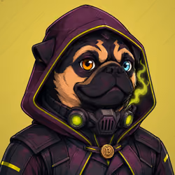 PUGS ON HOOD #1566