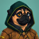 PUGS ON HOOD #1838