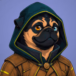 PUGS ON HOOD #2491