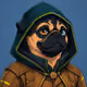PUGS ON HOOD #1605