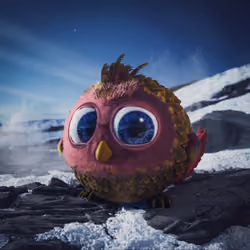 Companion #572