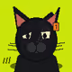 FERALCATS