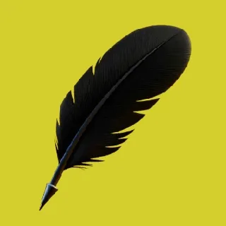 Robinhood Feather