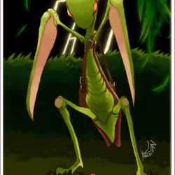 Mantis Card