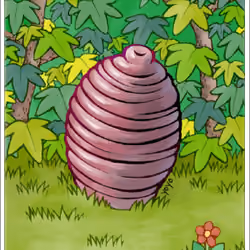 Pupa Card