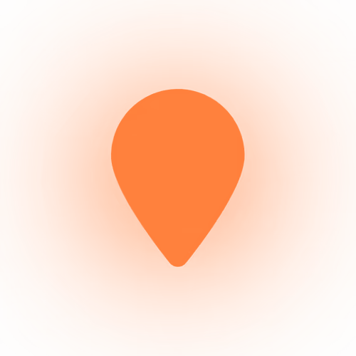 Item #338 Media