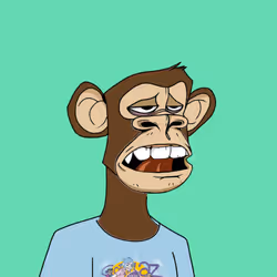 53