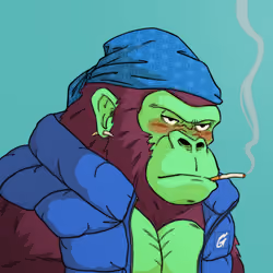 Genkai #11730