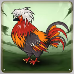 Chicken #4041