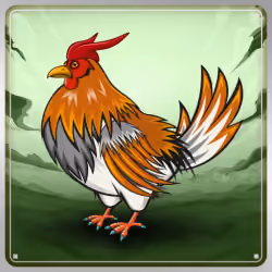 Chicken #10494