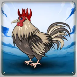 Chicken #15146