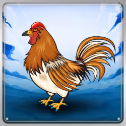Chicken #14683