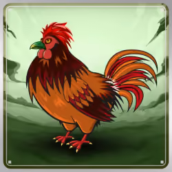 Chicken #9574