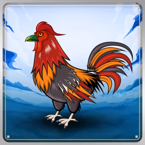 Chicken #14637