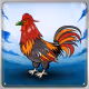 Chicken #14637