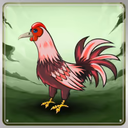 Chicken #5747