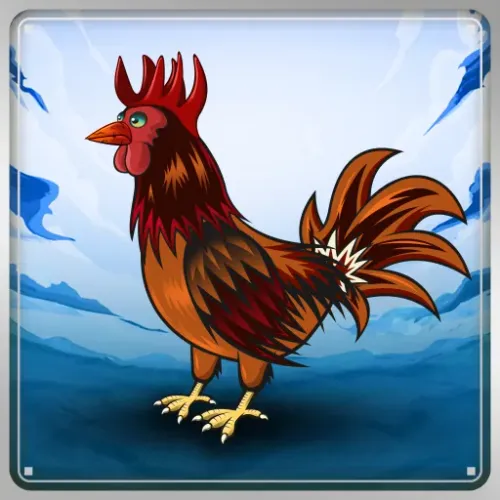 Chicken #19797