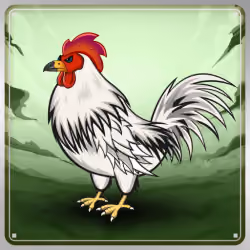 Chicken #6228